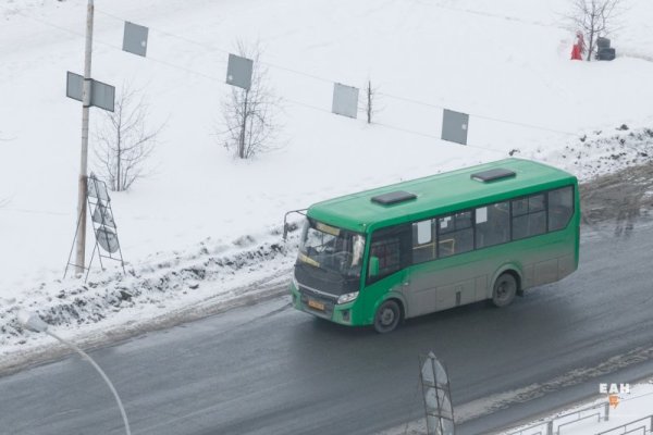 Ссылка на кракена для тора